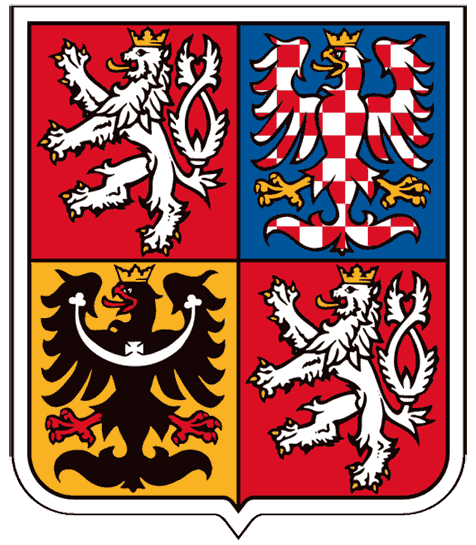 Czech Republic 1993-Pres Alternate Logo iron on heat transfer